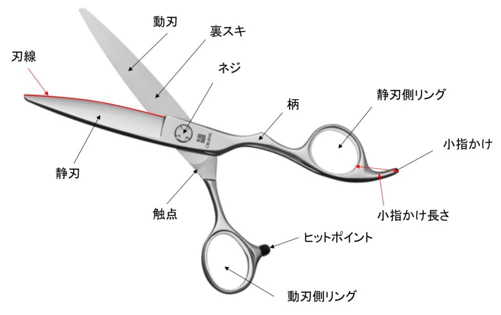 美容師・理容師のハサミの選び方｜各部の名称 | OKAWA pro-scissors 理 